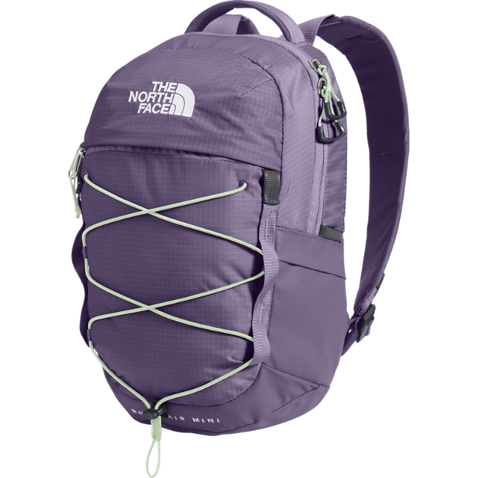 The North Face Borealis Mini Backpack - For All Elements